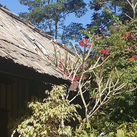 농 키아우 리버사이드 리조트 Nongkhiaw 외부 사진